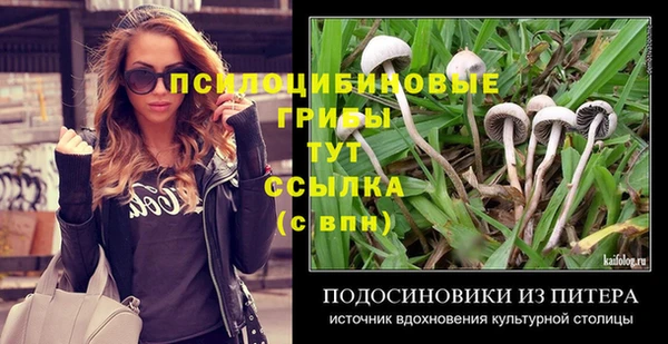 ПСИЛОЦИБИНОВЫЕ ГРИБЫ Абдулино