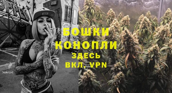ПСИЛОЦИБИНОВЫЕ ГРИБЫ Абдулино