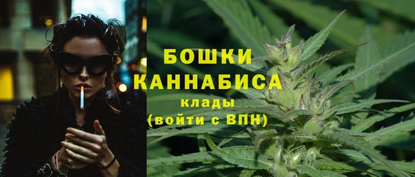 ПСИЛОЦИБИНОВЫЕ ГРИБЫ Абдулино