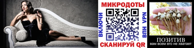 Галлюциногенные грибы Psilocybe  купить  сайты  Смоленск 