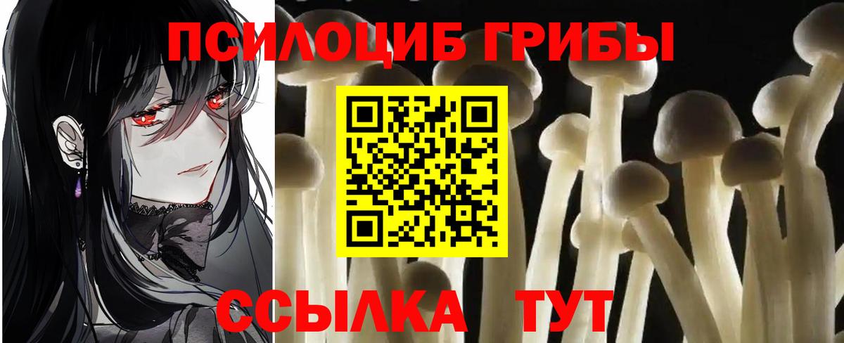 Смоленск  Галлюциногенные грибы Psilocybine cubensis  Вход с VPN  Галлюциногенные грибы Psilocybine cubensis 